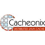 Cacheonix Systems